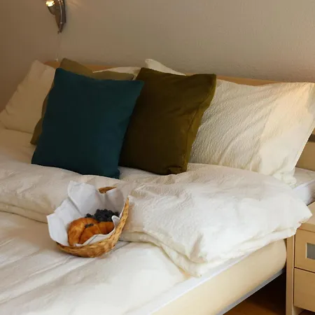 Appartamento Chateau Appartement-fewo 2-bettwohnung Edelweiss A 2 By Interhome Saas-Fee